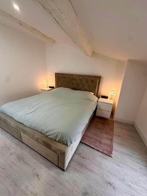 Duplex Design Et Confortable Dans La Jacquinot Apartment